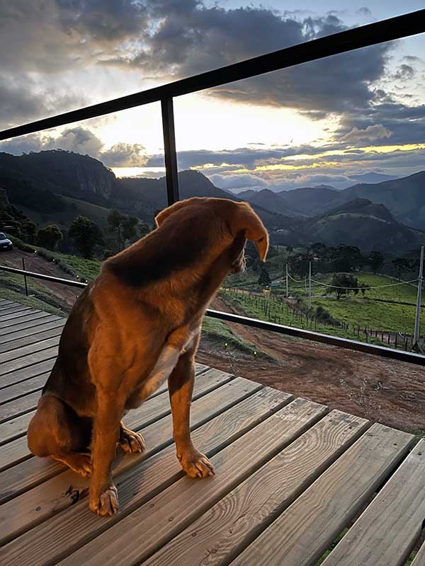 chalés pet friendly perto do rio de janeiro